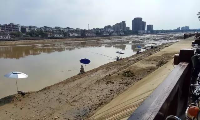 探秘河道水闸出水口的钓鱼技巧（钓鱼达人分享）  第1张