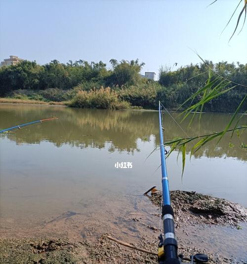 夏季河道钓鱼技巧（享受河道夏日钓鱼乐趣的秘诀）  第1张