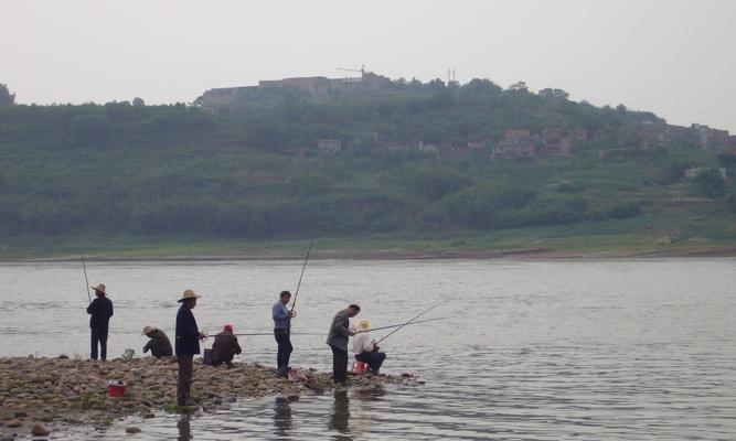 河道选位钓鱼技巧（河道钓鱼选位的关键技巧及实用经验）  第1张