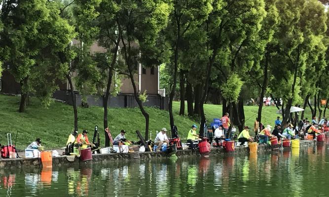 河道选位钓鱼技巧（河道钓鱼选位的关键技巧及实用经验）  第3张