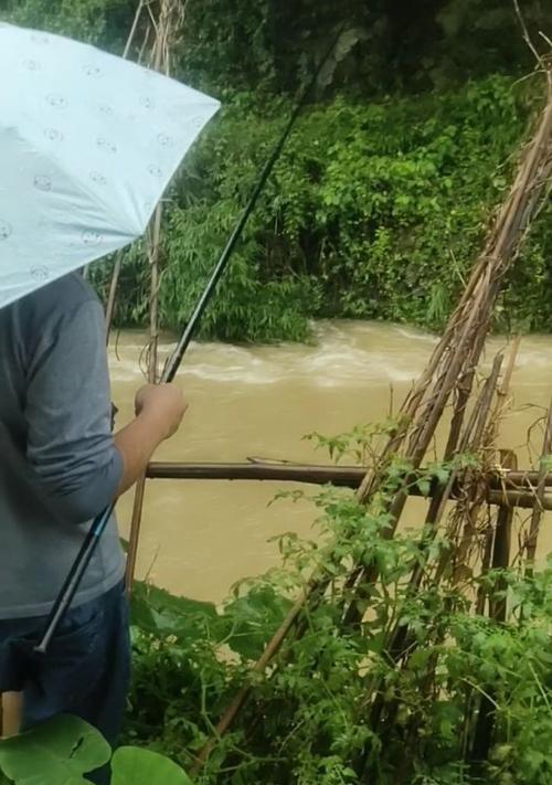 河道涨水后的钓鱼技巧（掌握技巧）  第1张