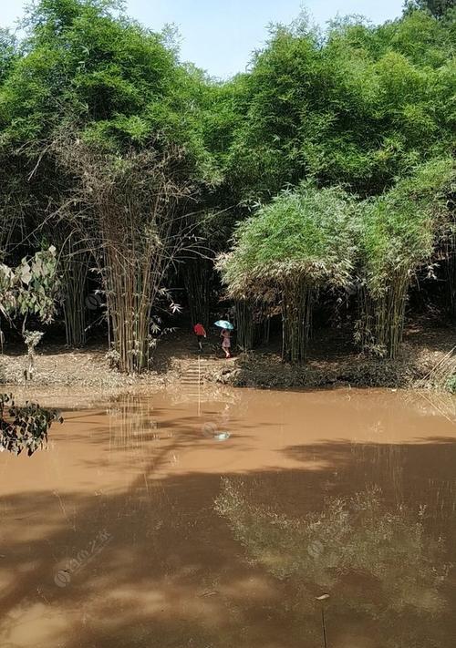 河道涨水后的钓鱼技巧（掌握技巧）  第2张