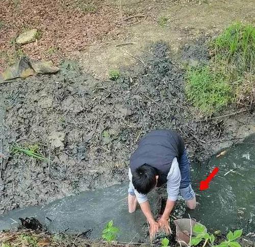 冬季河沟水渠垂钓技巧（钓友必备的冬季垂钓经验分享）  第1张