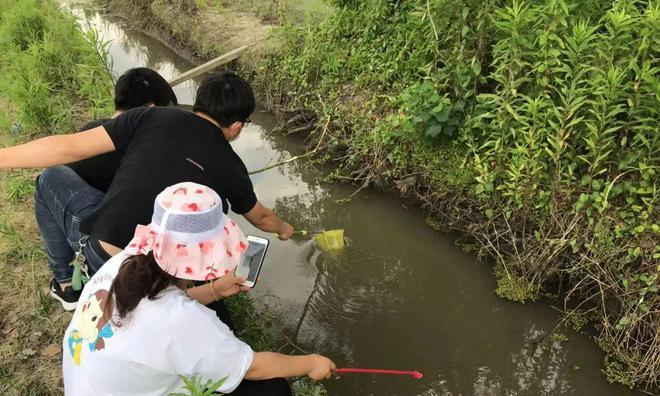 冬日河沟水渠钓鱼小技巧（寒冷季节的钓鱼技巧）  第2张