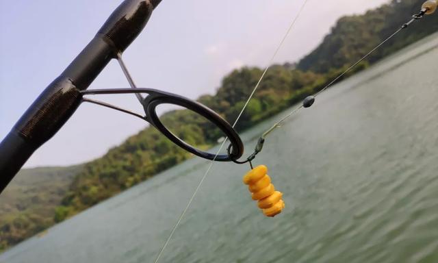 湖北闷竿流水钓鱼技巧（湖北闷竿流水钓鱼的时间和地点）  第1张