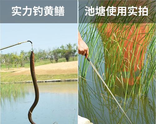 湖边野外钓鳝鱼技巧（探秘鳝鱼钓法）  第1张