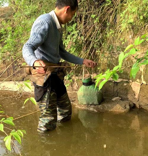 湖边野外钓鳝鱼技巧（探秘鳝鱼钓法）  第3张