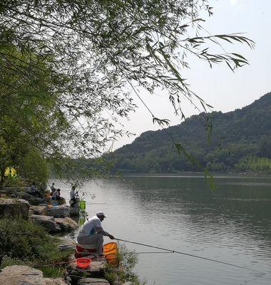 湖库1月钓鱼技巧（提高钓鱼成功率的实用技巧）  第3张