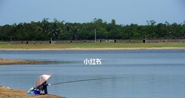 浅水钓鱼技巧——细水长流（湖里钓鱼技巧及经验分享）  第3张