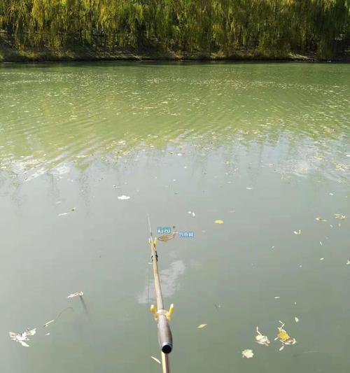 湖面退水钓鱼技巧（掌握退水时机）  第3张