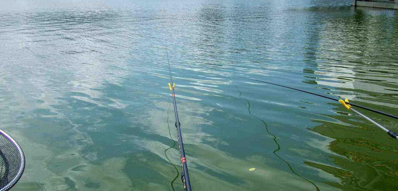 湖面野钓鲫鱼的技巧（掌握湖面野钓鲫鱼的精华技术）  第2张