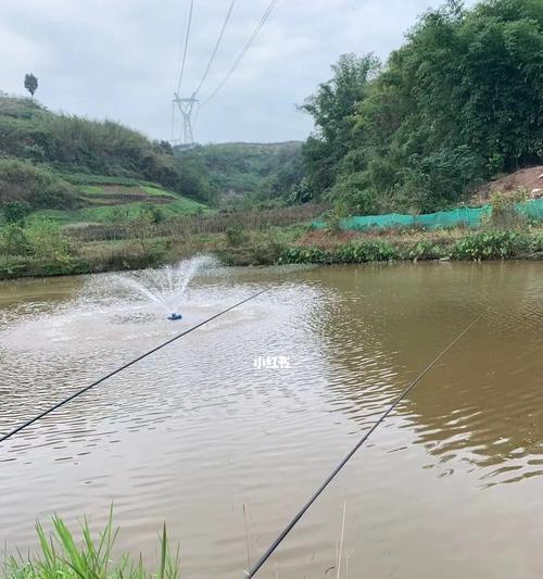 湖南鱼塘钓鱼技巧（掌握钓鱼技巧）  第1张