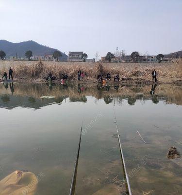 湖泊浅滩钓鱼技巧（掌握浅滩钓鱼技巧）  第3张