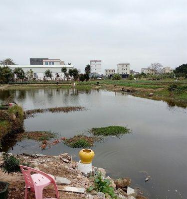 浅水钓鱼技巧（享受近距离的钓鱼乐趣）  第3张