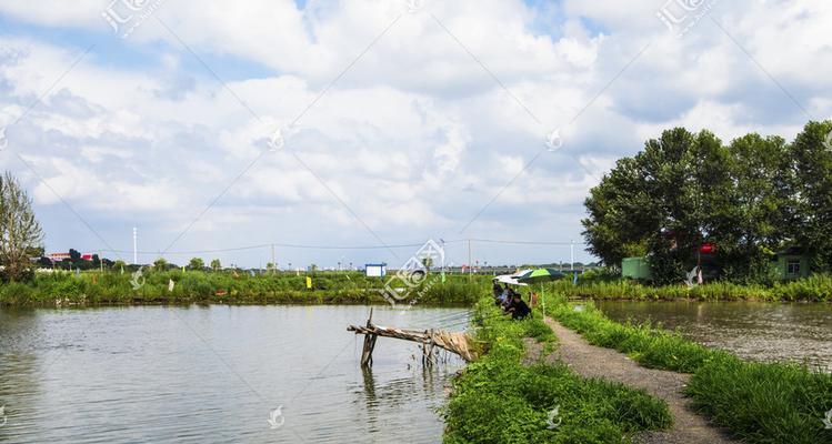 户外鱼池钓鱼小技巧（掌握这些技巧）  第1张