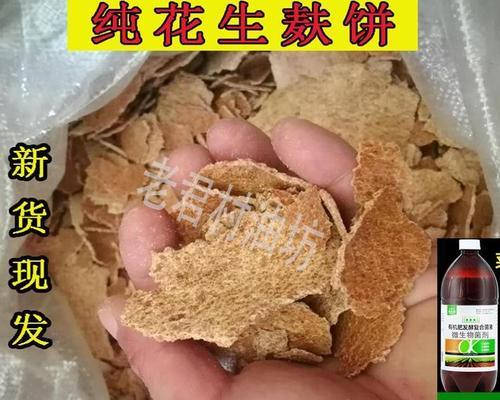 花生麸钓鱼技巧（掌握花生麸钓鱼的秘诀）  第1张