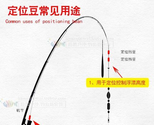 滑漂钓鱼方法与技巧大全（掌握滑漂钓鱼的关键）  第3张