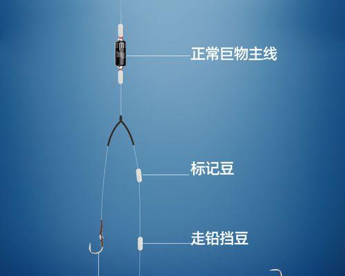 滑铅钓鱼调钓技巧（掌握调钓技巧）  第2张