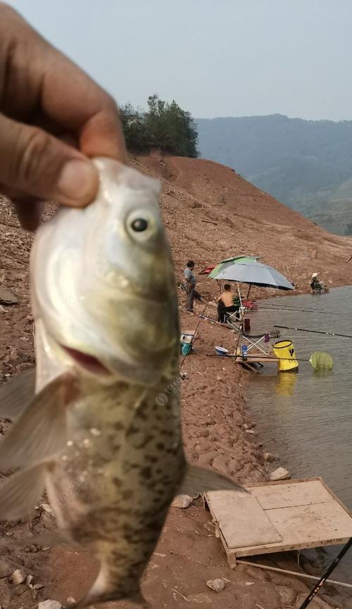 缓慢退水钓鱼技巧（技巧简介及实践指南）  第2张