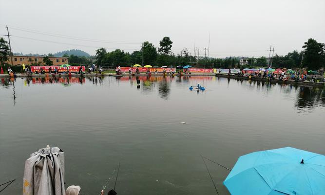 荒废池塘钓鱼技巧教学（挖掘荒废池塘钓鱼的宝藏/提高钓鱼成功率的实用技巧）  第3张