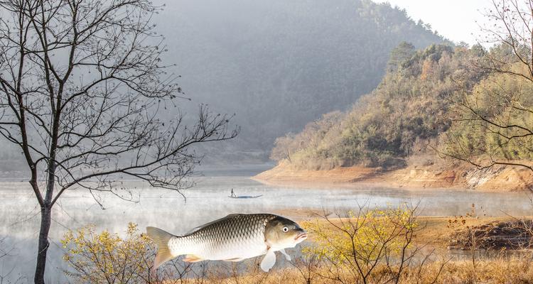 冬季黄河流水钓鱼技巧（掌握关键）  第3张