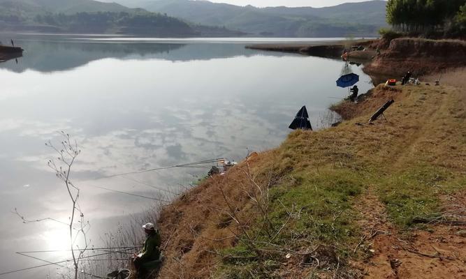 黄河水钓鱼技巧大揭秘（掌握黄河水钓鱼技巧）  第1张