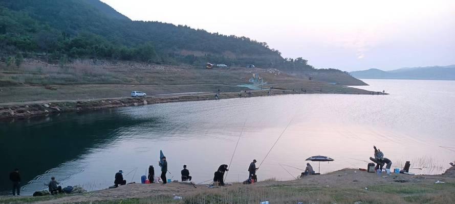 黄河夜钓鱼技巧大全（掌握关键技巧）  第3张