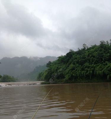 浑水钓鱼技巧（钓位选择的重要性及技巧）  第2张