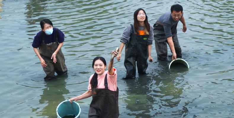 浑水钓鱼技巧大揭秘（学会这些技巧）  第2张