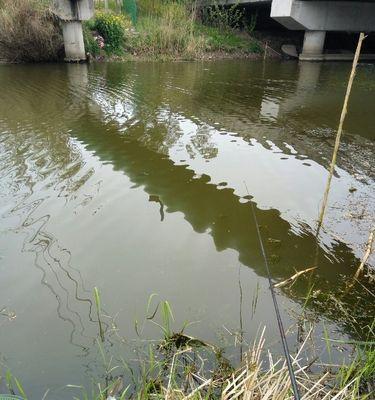 浑水河钓鱼技巧（掌握这些技巧）  第2张