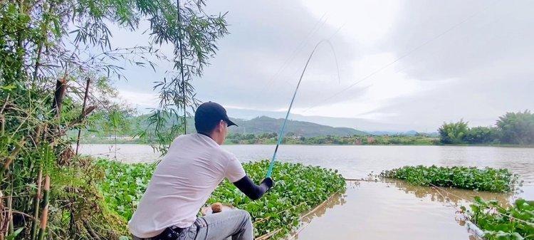 浑水小河钓鱼的技巧与方法（细说钓鱼）  第3张