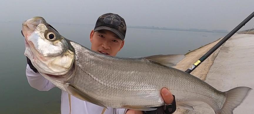 浑水野塘钓鲈鱼的技巧（掌握关键要点）  第1张