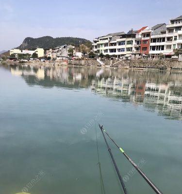 江边水流太急钓鱼技巧（解决江边水流太急的钓鱼难题）  第1张