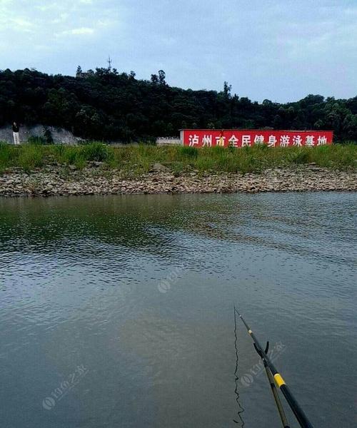 江边退水钓鱼技巧（掌握退水时机提高钓鱼成功率）  第3张