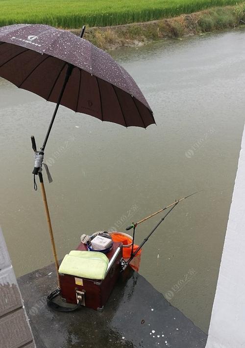 江边雨天钓鱼的技巧与乐趣（钓鱼爱好者必读）  第2张