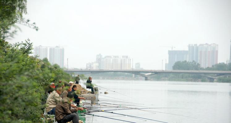 江边水钓鱼技巧（技巧分享）  第3张