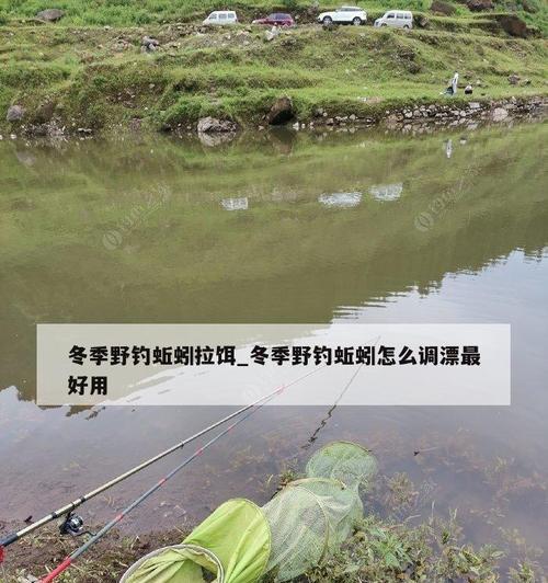 江边蚯蚓钓鱼技巧（掌握一招钓鱼撒蠓精妙）  第1张