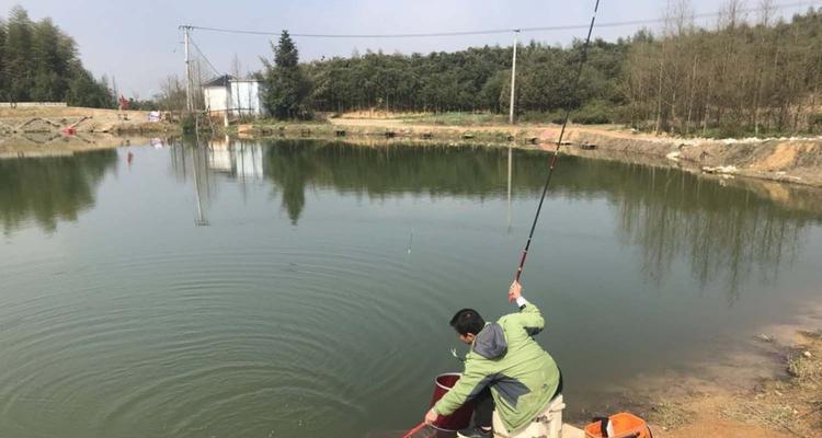 江河钓鱼技巧大揭秘（浮漂和鱼饵选择关键一招）  第2张