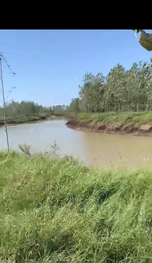 探索江河钓鱼技巧（钓鱼技巧分享）  第3张