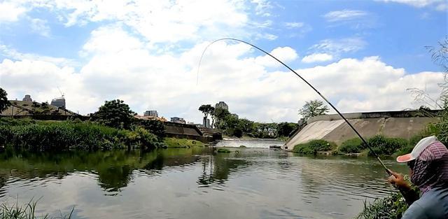 江河钓鱼技巧大揭秘（掌握垂钓技巧）  第1张