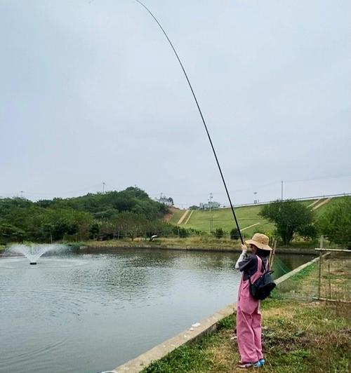 江河钓鱼技巧大揭秘（掌握垂钓技巧）  第2张