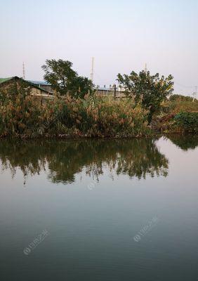 江河冬季钓鱼技巧大揭秘（解析江河冬季钓鱼的常用技巧和策略）  第3张