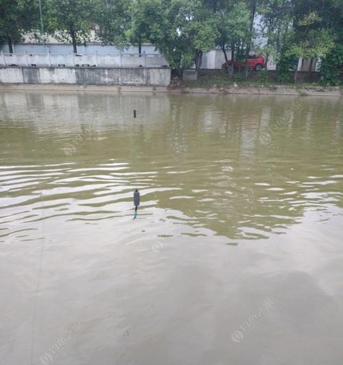 江河流动水中钓鱼技巧与方法（掌握流水钓鱼技巧）  第2张