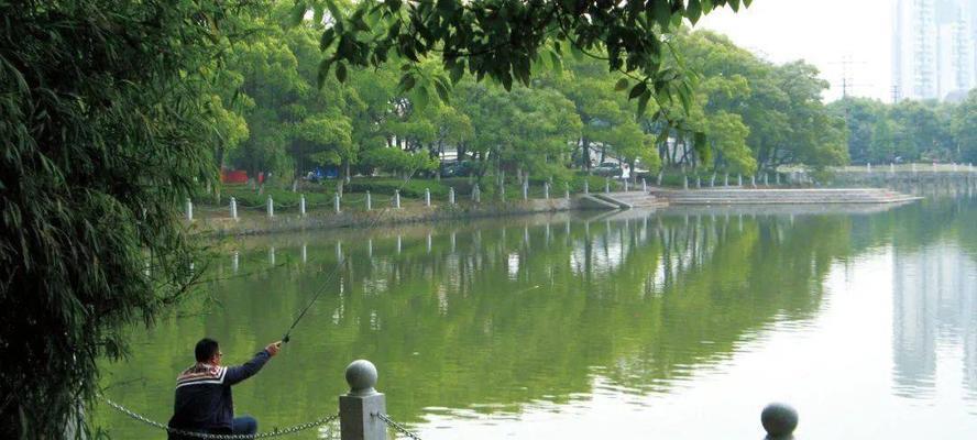 江河流动水中钓鱼技巧与方法（掌握流水钓鱼技巧）  第3张