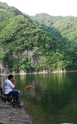 江河流水钓黄尾的高级技巧（掌握黄尾鱼咬钩规律）  第2张