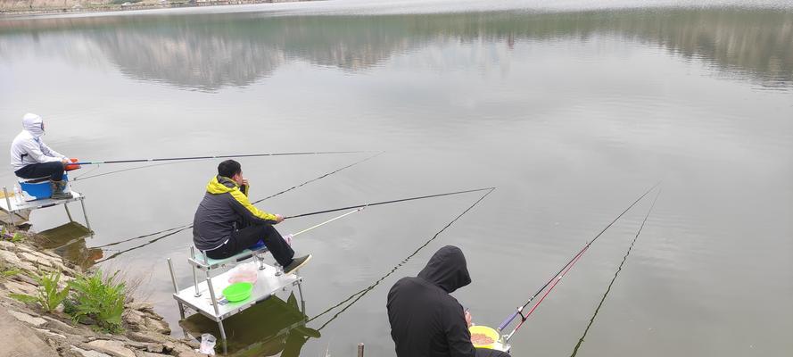 江河野钓流水闷竿稍钓鲢鳙技巧（江河野钓中使用流水闷竿稍钓鲢鳙的技巧）  第1张