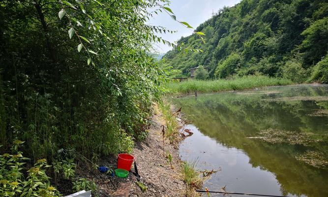 江苏冬季黄河钓鱼技巧（掌握黄河冬季钓鱼的技巧）  第1张