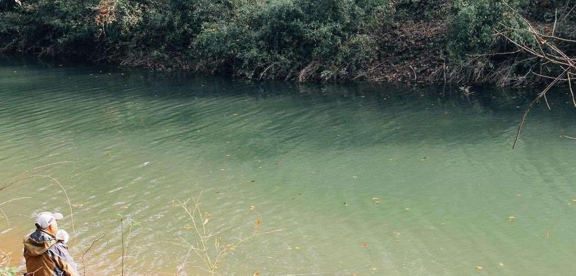 烂田坝水库钓鱼技巧（探秘烂田坝水库的钓鱼技巧）  第3张