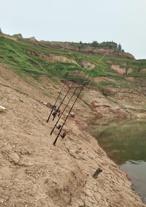 浅谈以浪底钓鱼的方法与技巧（钓鱼达人分享经验）  第2张