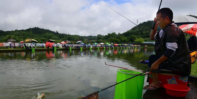 垂钓技巧大集锦（以老渔翁话谈不同风情的垂钓技巧）  第1张